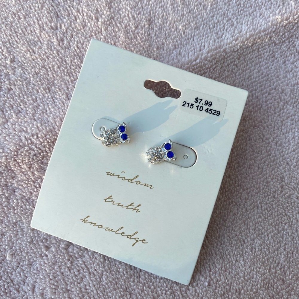 Owl Earrings
